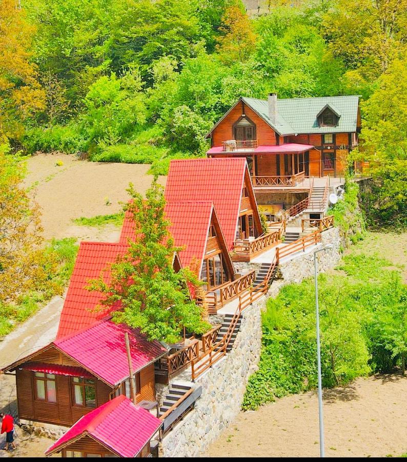 The Wooden House Uzungoel Uzungöl Extérieur photo