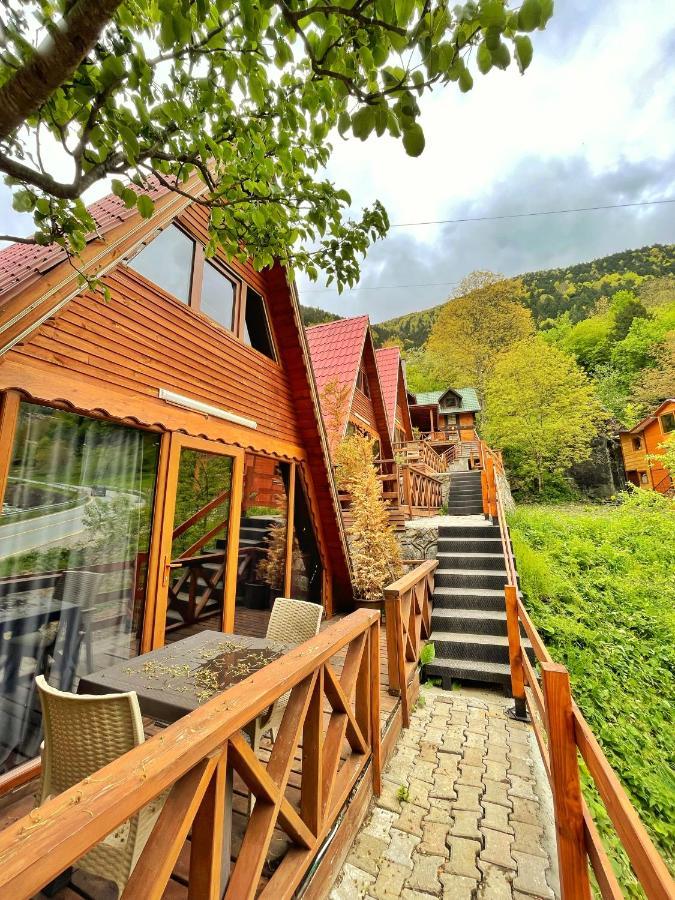 The Wooden House Uzungoel Uzungöl Extérieur photo